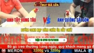 TRẬN 19 CPC5 NGÀY 12/11/2025