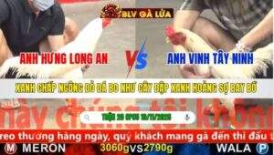 TRẬN 20 CPC5 NGÀY 10/11/2025