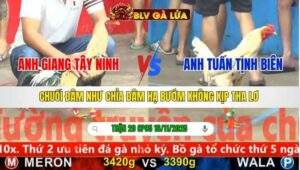 TRẬN 20 CPC5 NGÀY 16/11/2025