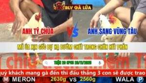 TRẬN 20 CPC5 NGÀY 20/11/2025