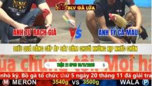 TRẬN 21 CPC5 NGÀY 16/11/2025