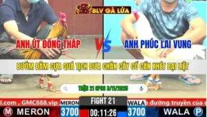 TRẬN 21 CPC6 NGÀY 3/11/2025