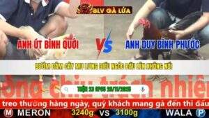 TRẬN 23 CPC5 NGÀY 26/11/2025