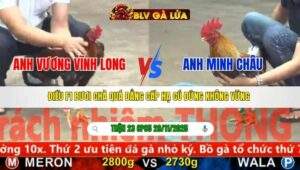 TRẬN 23 CPC5 NGÀY 29/11/2025
