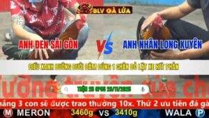 TRẬN 25 CPC5 NGÀY 29/11/2025