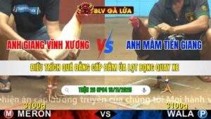 TRẬN 26 CPC4 NGÀY 16/11/2025