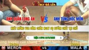 TRẬN 3 CPC4 NGÀY 21/11/2025