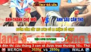 TRẬN 3 CPC5 NGÀY 21/11/2025