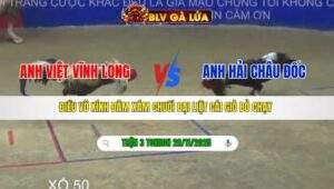 TRẬN 3 TONHON NGÀY 28/11/2025