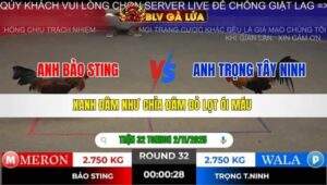 TRẬN 32 TONHON NGÀY 2/11/2025