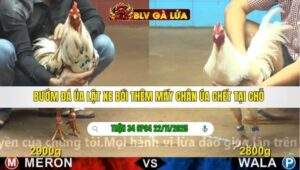 TRẬN 34 CPC4 NGÀY 22/11/2025