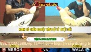 TRẬN 34 CPC4 NGÀY 6/11/2025