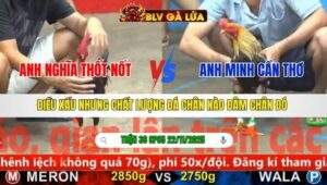 TRẬN 36 CPC5 NGÀY 22/11/2025