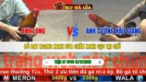 TRẬN 37 CPC5 NGÀY 13/11/2025