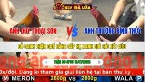 TRẬN 38 CPC5 NGÀY 13/11/2025