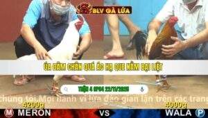 TRẬN 4 CPC4 NGÀY 22/11/2025