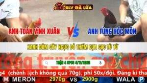 TRẬN 4 CPC5 NGÀY 4/11/2025