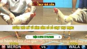 TRẬN 5 CPC4 NGÀY 17/11/2025