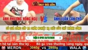 TRẬN 5 CPC5 NGÀY 23/11/2025