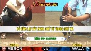 TRẬN 6 CPC4 NGÀY 23/11/2025