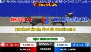 TRẬN 7 TONHON NGÀY 28/11/2025