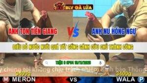 TRẬN 8 CPC4 NGÀY 18/11/2025