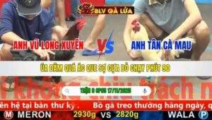 TRẬN 8 CPC5 NGÀY 17/11/2025