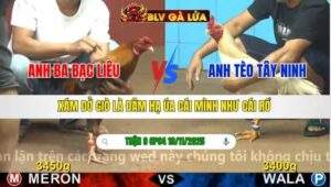 TRẬN 9 CPC4 NGÀY 19/11/2025