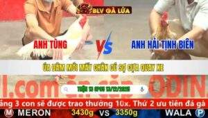 TRẬN 13 CPC5 NGÀY 13/12/2025