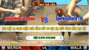 TRẬN 14 CPC4 NGÀY 11/12/2025