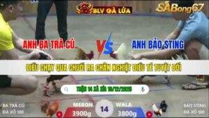 TRẬN 14 XÀ XÍA NGÀY 19/12/2025