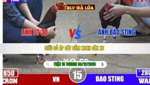 TRẬN 15 TONHON NGÀY 3/12/2025