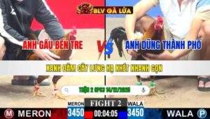 TRẬN 2 CPC3 NGÀY 14/12/2025