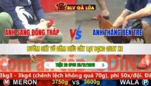 TRẬN 20 CPC5 NGÀY 25/12/2025