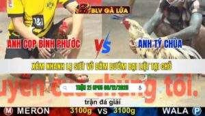 TRẬN 21 CPC5 NGÀY 6/12/2025