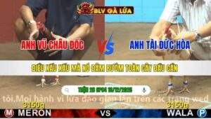 TRẬN 28 CPC4 NGÀY 16/12/2025