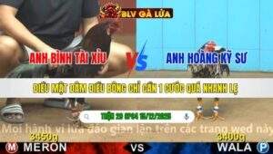 TRẬN 29 CPC4 NGÀY 15/12/2025