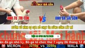 TRẬN 33 CPC5 NGÀY 5/12/2025