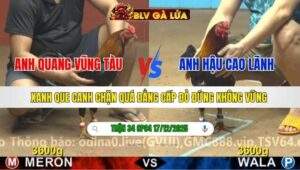 TRẬN 34 CPC4 NGÀY 17/12/2025