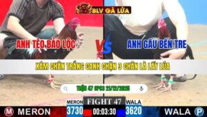 TRẬN 47 CPC3 NGÀY 21/12/2025