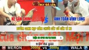 TRẬN 49 CPC5 NGÀY 6/12/2025