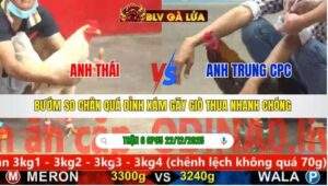 TRẬN 6 CPC5 NGÀY 22/12/2025