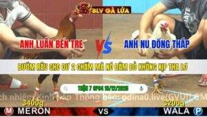 TRẬN 7 CPC4 NGÀY 16/12/2025