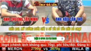 TRẬN 8 CPC5 NGÀY 22/12/2025