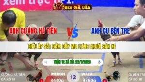 TRẬN 12 XÀ XÍA NGÀY 22/1/2026