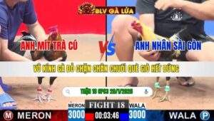 TRẬN 18 CPC3 NGÀY 29/1/2026