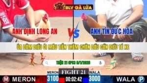 TRẬN 21 CPC3 NGÀY 8/1/2026