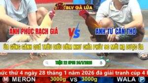 TRẬN 22 CPC5 NGÀY 24/1/2026