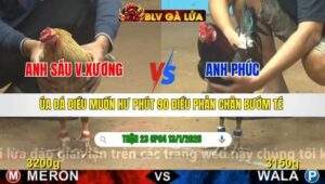 TRẬN 23 CPC4 NGÀY 13/1/2026