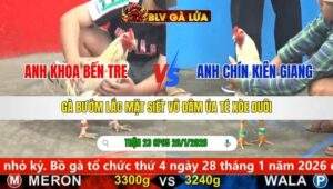 TRẬN 23 CPC5 NGÀY 26/1/2026